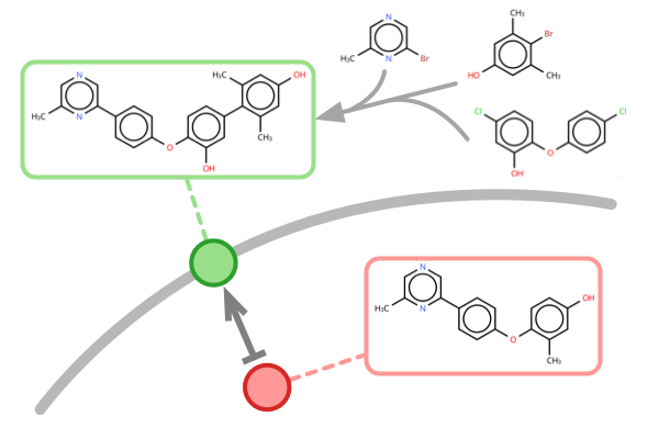 Projecting Molecules into Synthesizable Chemical Spaces